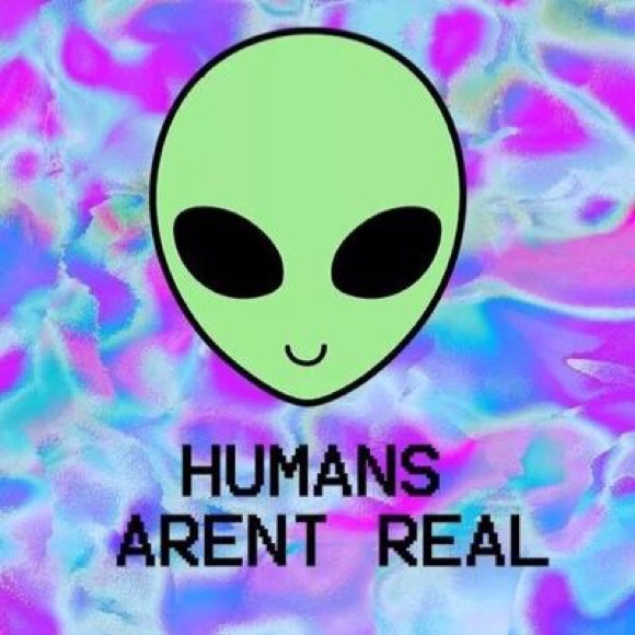 Meet your Posher, Jeremy - Picture 1 of 1